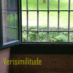 Verisimilitude