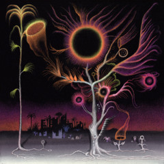 02 - Cuttlefish REM Phase