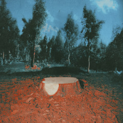 сменится круг