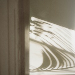 Download: Past Palms - Looking for a Home