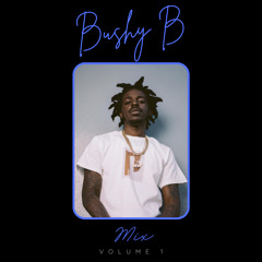 Bushy B Mix Vol. 1