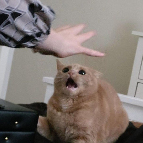 Stream Hologram professor’s song Puppet History by Birdo Draws