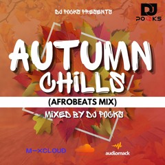 #PocksNMix Vol 6 Autumn Chills 2021 || Mixed By @PocksYNL