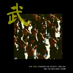 New York Starring The Aziatic, Shallah, & The Wallabee Champ