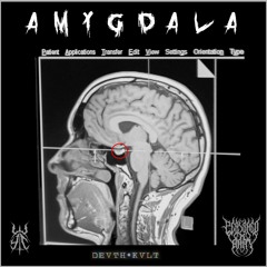 AMYGDALA