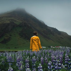 Hymnbient - When I Survey