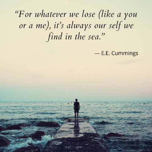 We Find in the Sea