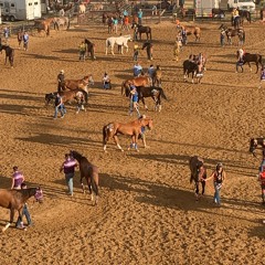 Big_City_Big_Country_5514b619-58fe-468c-b196-05760b0cfbc1.wav