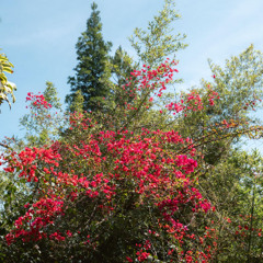 Sunseeker w/ Toby - 210525