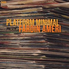 PM 005 / Fardin Ameri