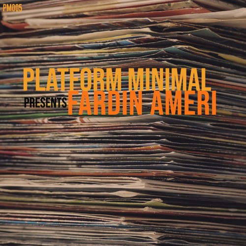 PM 005 / Fardin Ameri