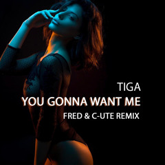 Tiga - You Gonna Want Me (FRED & C-UTE radio mix)