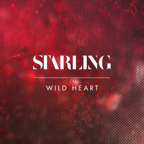 bleachers, wild heart lyrics