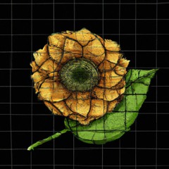Uma Rosa Dourado (WIP)