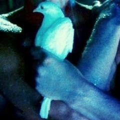 blade bird (oklou cover)