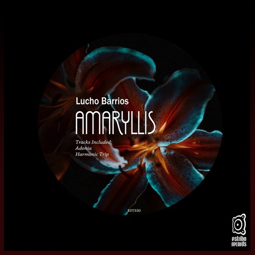 Lucho Barrios - Adonia (Original Mix)