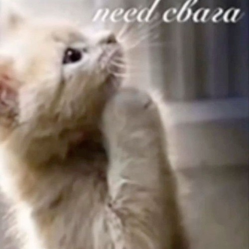 Lenin Was a Zombie - Your Cat Is Dead