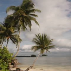 Kickin' It on Ginger Island