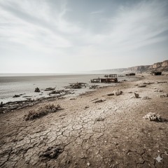 עמיעד עמר- חוף בלי ים