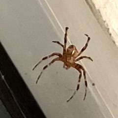 I talk to myself(Beat by Yung Sky TRIP)