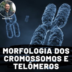 Morfologia dos Cromossomos e Telômeros