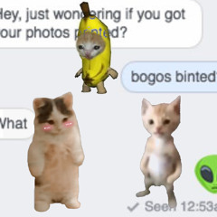 bogos binted <☆n3w mus1c☆ > // brideboi ⊹₊⟡⋆ d[-__-]b๋࣭ ⭑☆ ᓚ₍ ^. .^₎  (snorkatje)