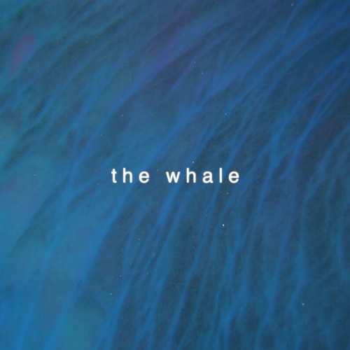 Sebastian Boldt - The Whale