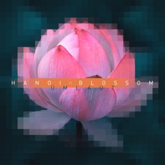 Hanoi Blossom