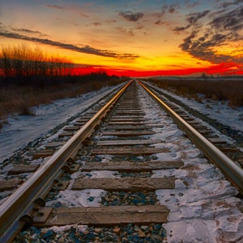 Voodoo - Miguel Campbell