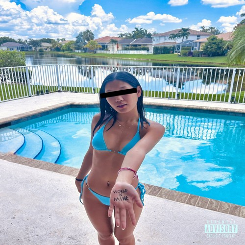 lilflair - idowhatido! [prod. pierre1k]