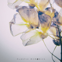 Plastic memories