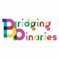 Bridging Binaries Audio Labels