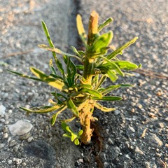 EX!T - Thrice As Hard