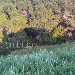 ambition