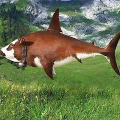 November By: Lemkuuja x Ballin By: Mustard ft. Roddy Ricch