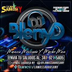 Banda MS vs Julion Alvarez Mix | Dj Bleny D