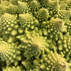 Gyre