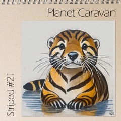 Striped #21 - Planet Caravan