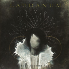 In Obscura