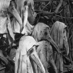 Demonic Cult