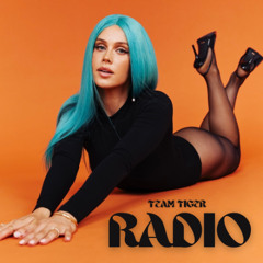 Team Tiger Radio #211 - 2024 Wrap