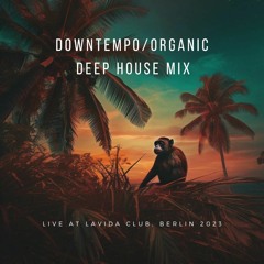 downtempo/organic deep house mix djset - guidj