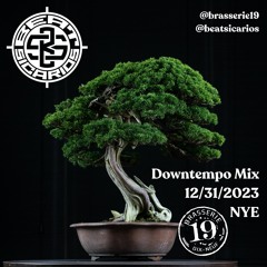 DOWNTEMPO MIX B19 nye 2023