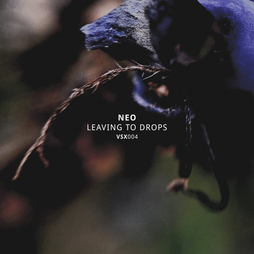 Stream Neo - Gizzard [VSX004] by Vault Sessions | Vault Records