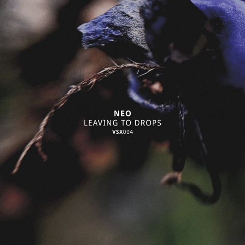 Neo - I Saw You In My Dreams [VSX004]