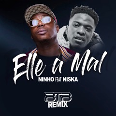 NINHO feat NISKA - ELLE A MAL (BTB REMIX)