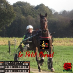 Le Petit Cheval  COOL HORSE TROT 4'05''