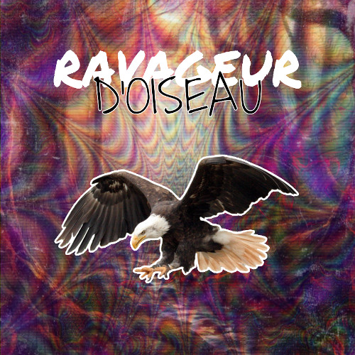 Ravageur d'oiseau