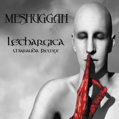 MESHUGGAH - LETHARGICA (MARAUDA REMIX)