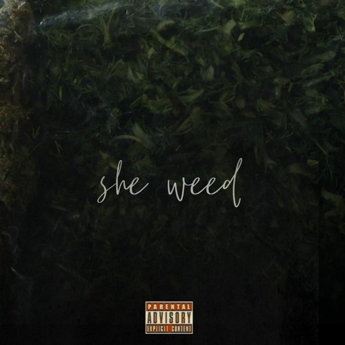 Daddy _ she weed [prodbyBencoa]